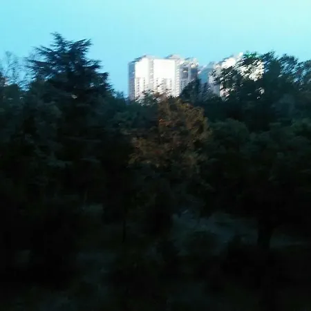 Аппартаменты С Выходом К Морю Odessa